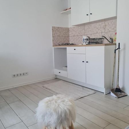 Cute Modern Apartman Zagreb Lägenhet Exteriör bild